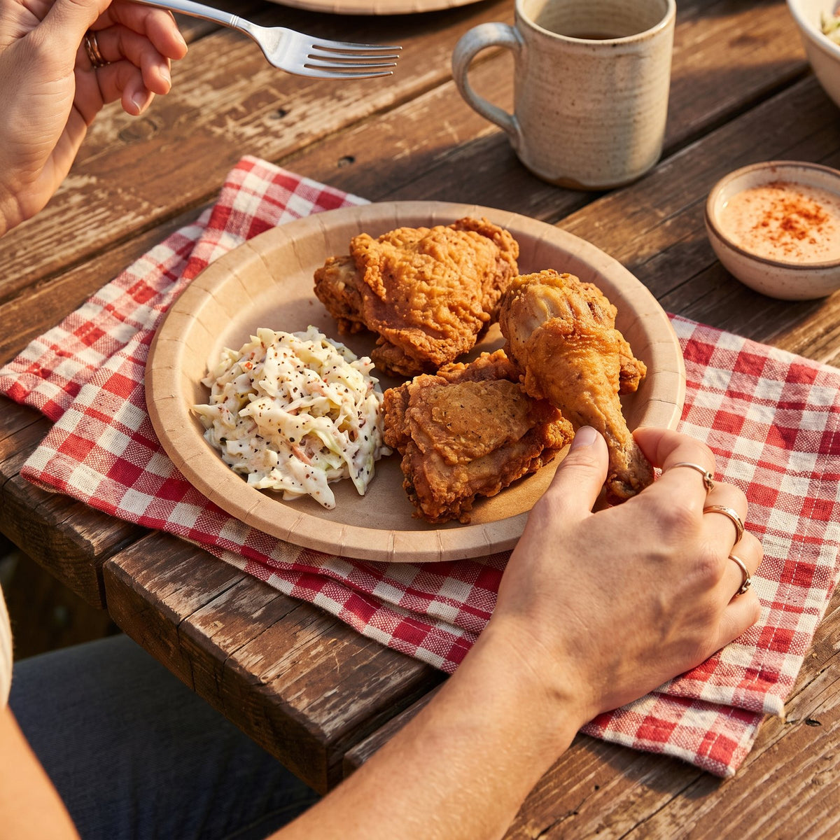 Fried chicken and coleslaw on a picnic cloth